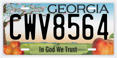 GA license plate CWV8564
