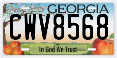 GA license plate CWV8568