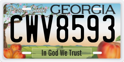GA license plate CWV8593