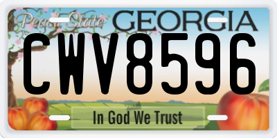 GA license plate CWV8596