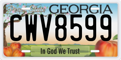 GA license plate CWV8599