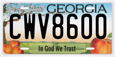 GA license plate CWV8600
