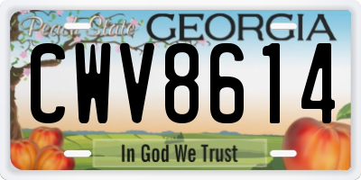 GA license plate CWV8614