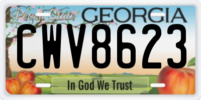 GA license plate CWV8623
