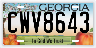 GA license plate CWV8643