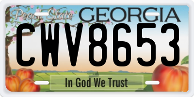GA license plate CWV8653