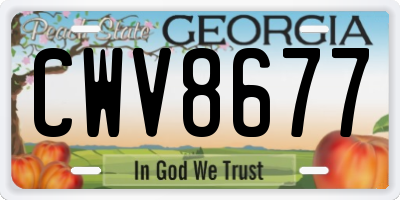 GA license plate CWV8677