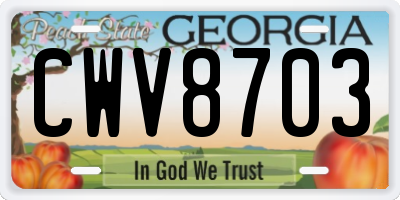 GA license plate CWV8703