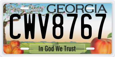 GA license plate CWV8767