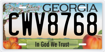 GA license plate CWV8768