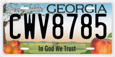 GA license plate CWV8785