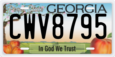 GA license plate CWV8795