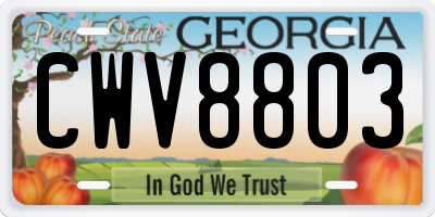 GA license plate CWV8803