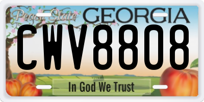 GA license plate CWV8808
