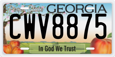 GA license plate CWV8875