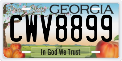 GA license plate CWV8899