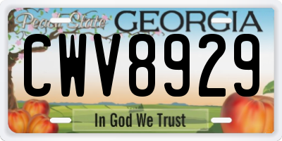 GA license plate CWV8929