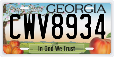 GA license plate CWV8934