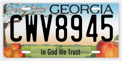 GA license plate CWV8945