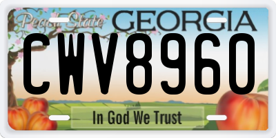 GA license plate CWV8960