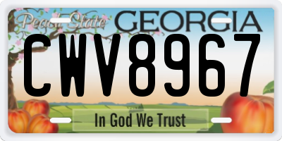 GA license plate CWV8967