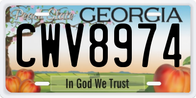 GA license plate CWV8974