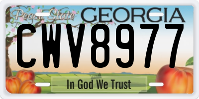 GA license plate CWV8977