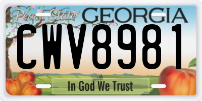 GA license plate CWV8981
