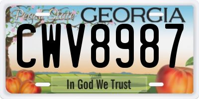GA license plate CWV8987