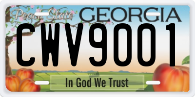 GA license plate CWV9001