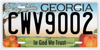 GA license plate CWV9002