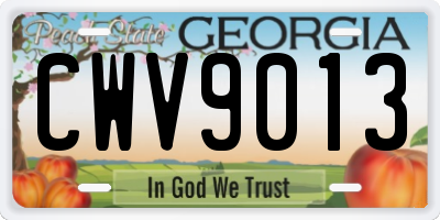 GA license plate CWV9013
