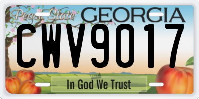 GA license plate CWV9017