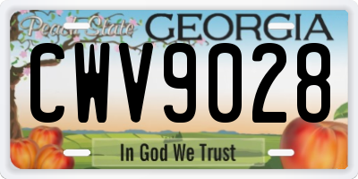 GA license plate CWV9028