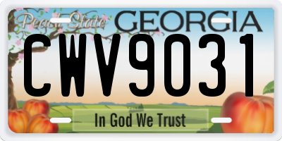 GA license plate CWV9031