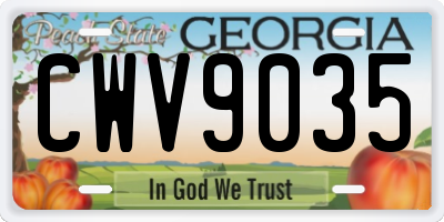 GA license plate CWV9035