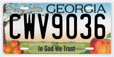 GA license plate CWV9036