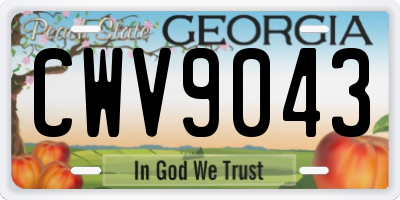 GA license plate CWV9043
