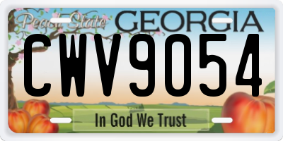 GA license plate CWV9054