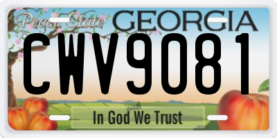 GA license plate CWV9081