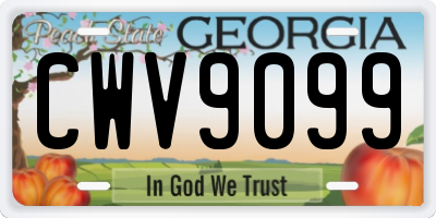 GA license plate CWV9099
