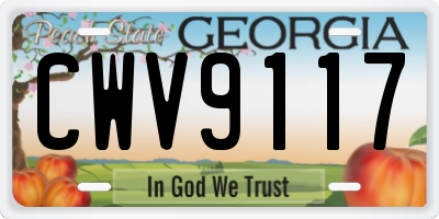 GA license plate CWV9117