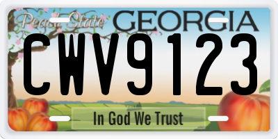 GA license plate CWV9123