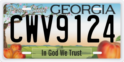 GA license plate CWV9124