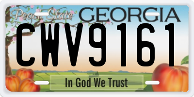 GA license plate CWV9161