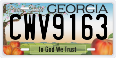 GA license plate CWV9163