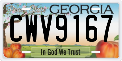 GA license plate CWV9167