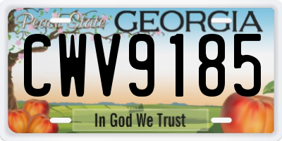 GA license plate CWV9185