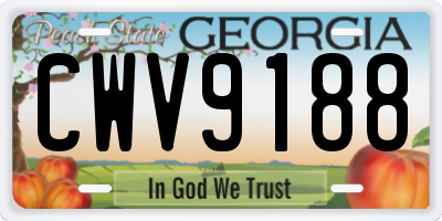 GA license plate CWV9188