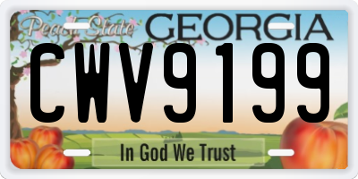 GA license plate CWV9199